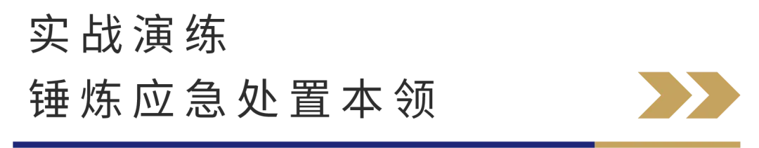 1759192953172430.jpg 8.jpg