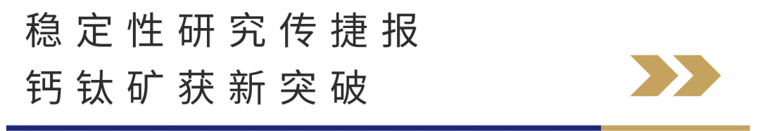 1782738958568896.jpg 4.jpg