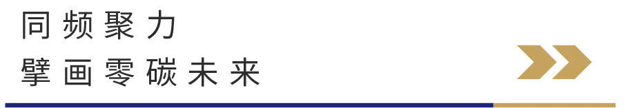1782742195119356.jpg 14.jpg